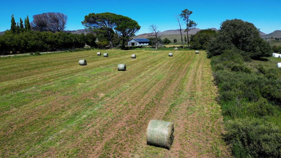 5 Bedroom Property for Sale in Steynsburg Rural Eastern Cape